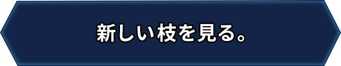 新しい枝を見る。